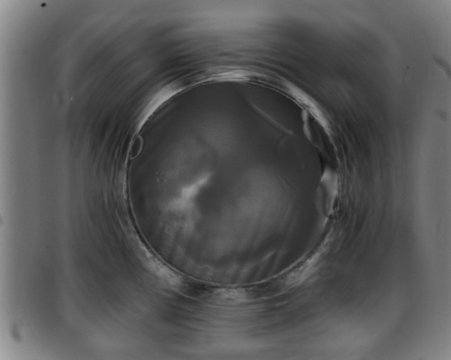 X0000096381194200801311252