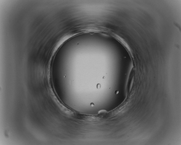 X0000096381195200801311252