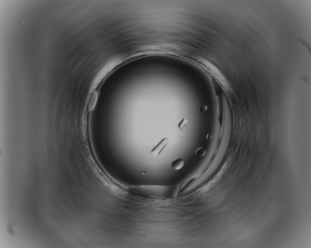 X0000096381196200801311252