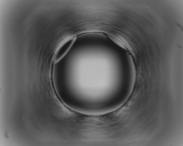 X0000096381197200801311252