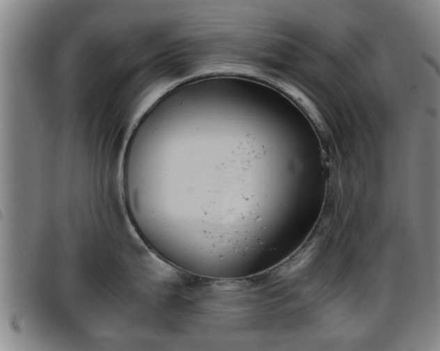 X0000096381199200801311252