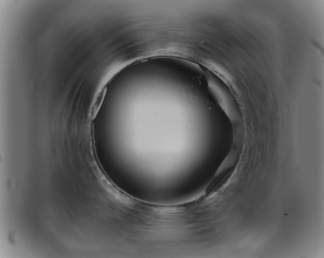 X0000096381200200801311252