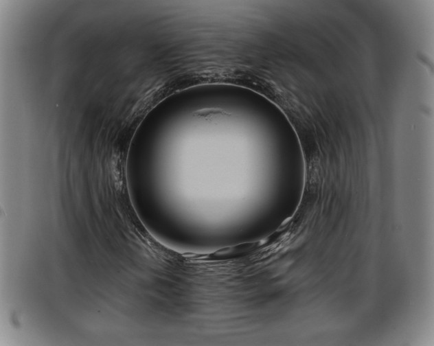 X0000096381202200801311252