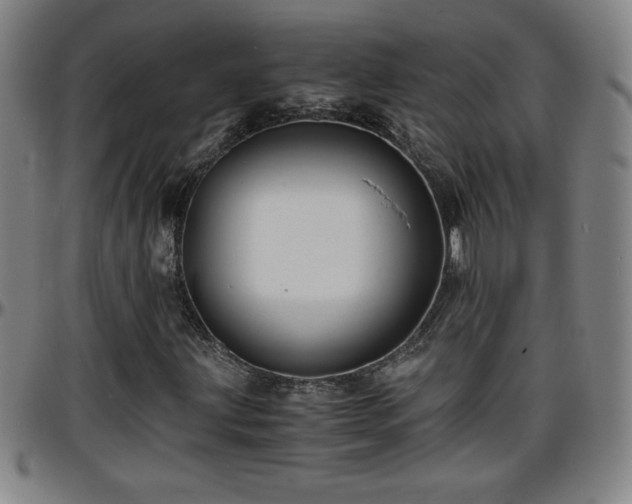 X0000096381203200801311252