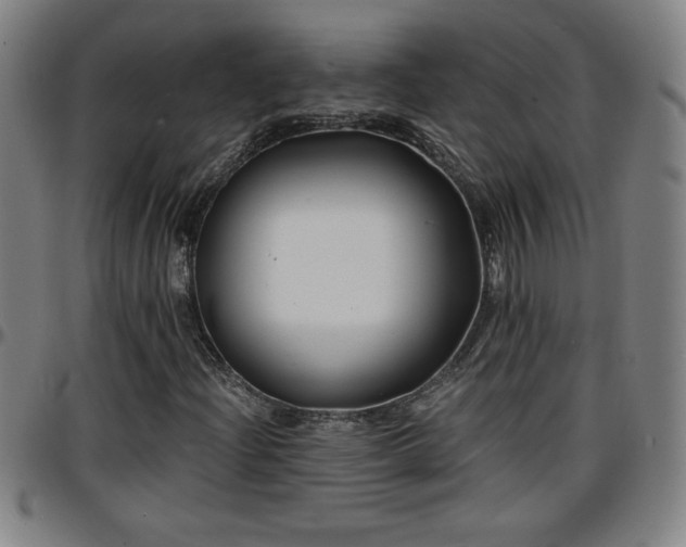 X0000096381204200801311252