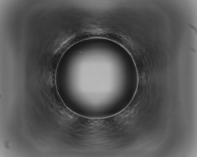 X0000096381205200801311252