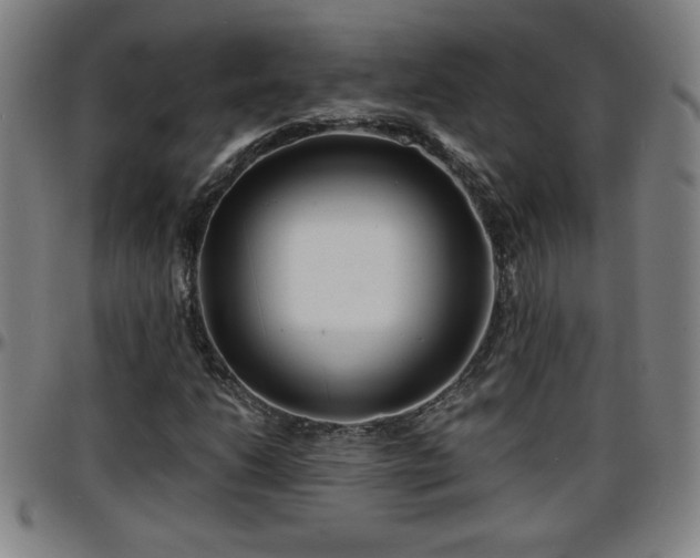 X0000096381206200801311252