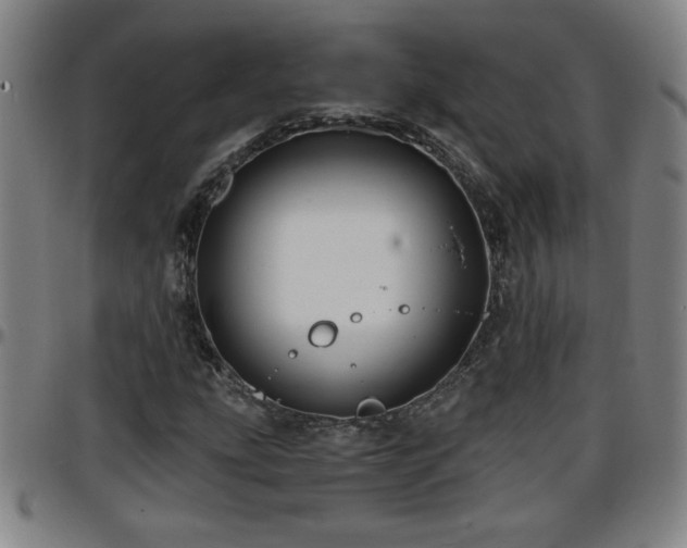 X0000096381207200801311252