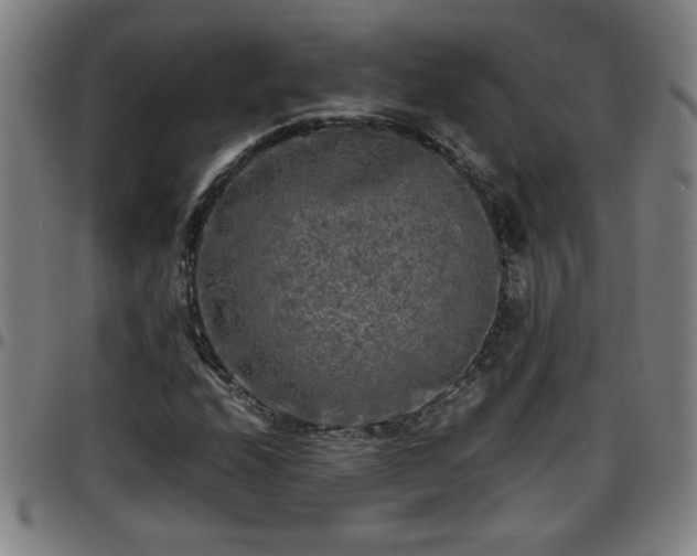 X0000096381208200801311252