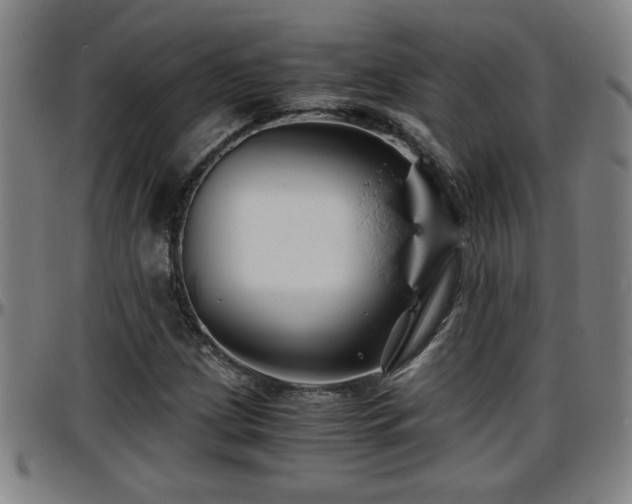 X0000096381209200801311252