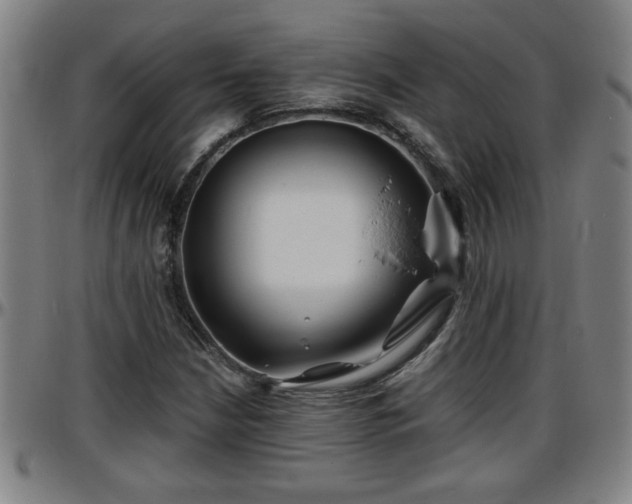 X0000096381210200801311252