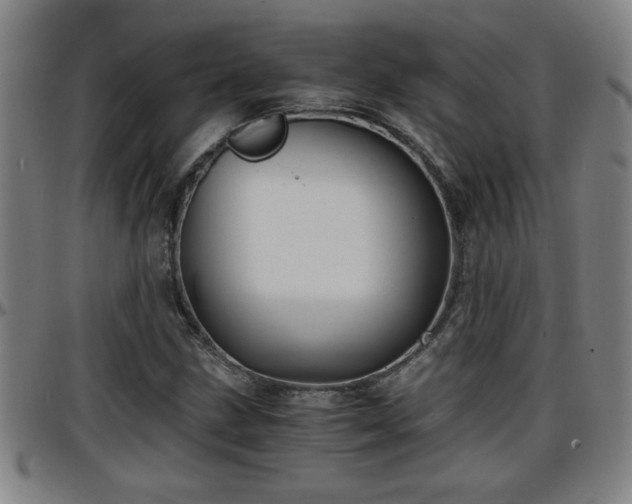 X0000096381211200801311252