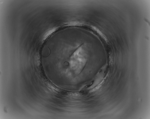 X0000096381213200801311252