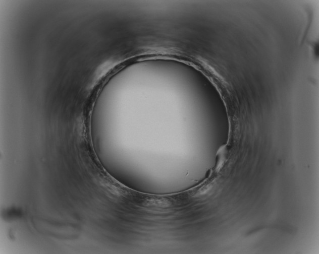 X0000096381215200801311252