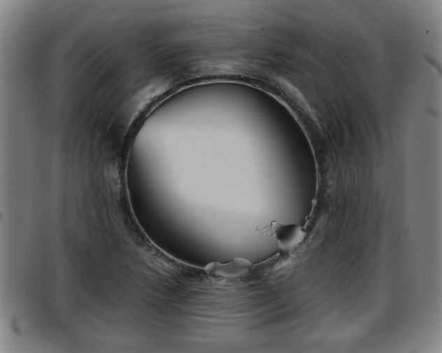 X0000096381218200801311252