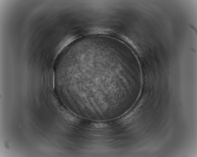 X0000096381219200801311252