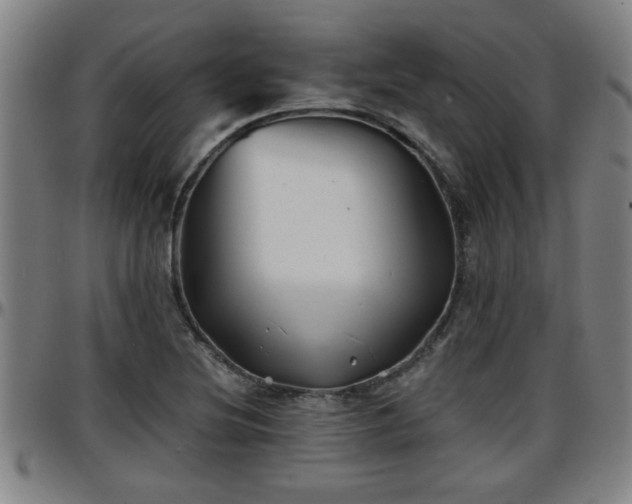 X0000096381220200801311252
