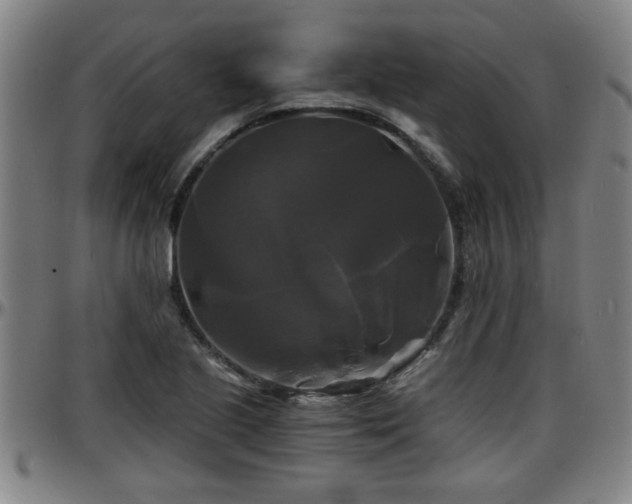 X0000096381221200801311252