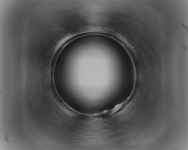 X0000096381222200801311252