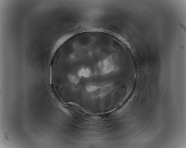 X0000096381223200801311252