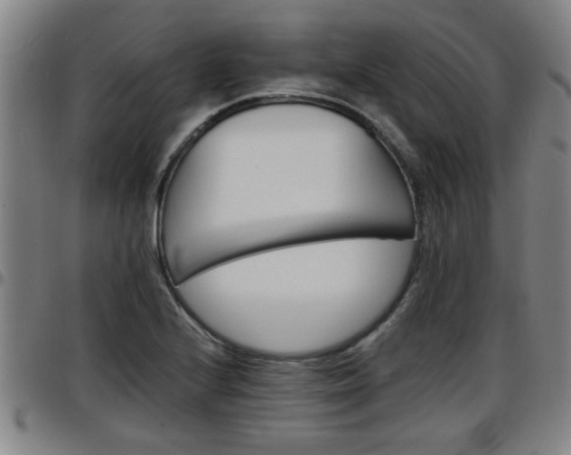 X0000096381224200801311252