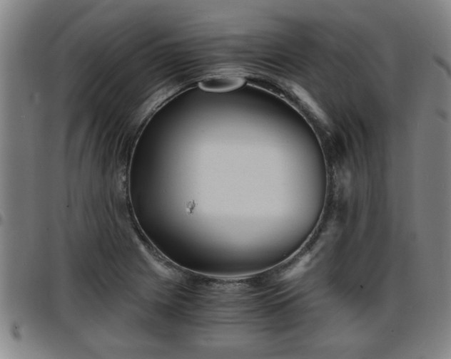 X0000096381225200801311252