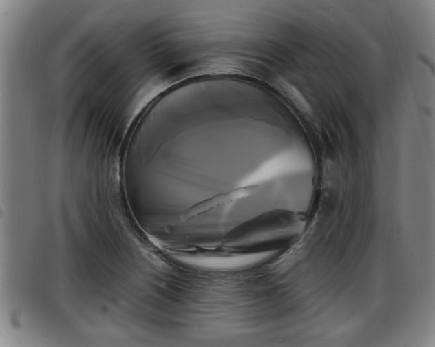 X0000096381226200801311252