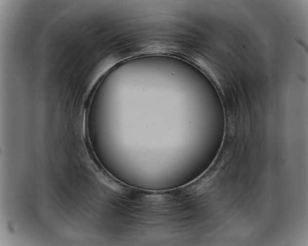 X0000096381227200801311252