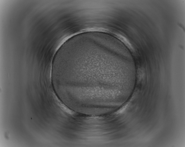 X0000096381228200801311252