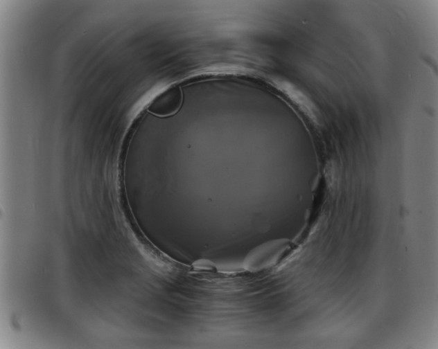 X0000096381229200801311252