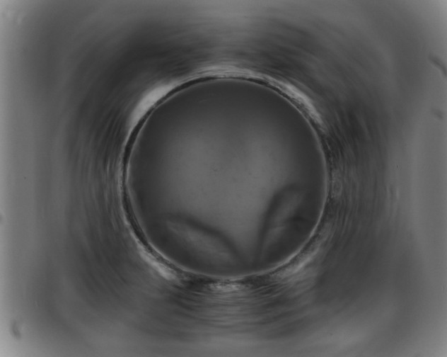 X0000096381231200801311252