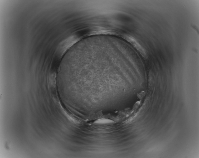 X0000096381233200801311252