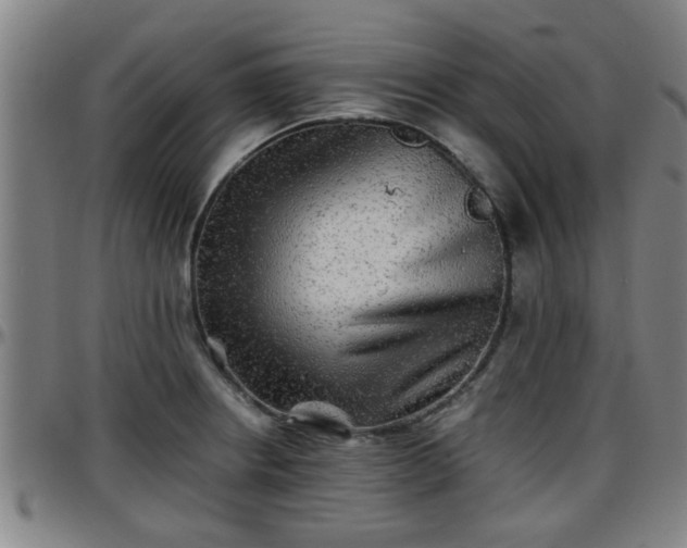 X0000096381234200801311252