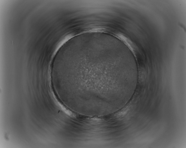 X0000096381235200801311252