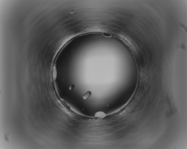 X0000096381236200801311252