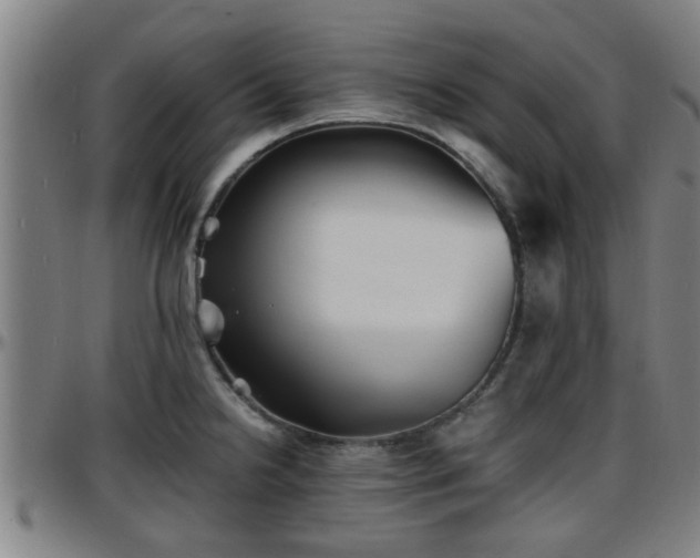 X0000096381238200801311252