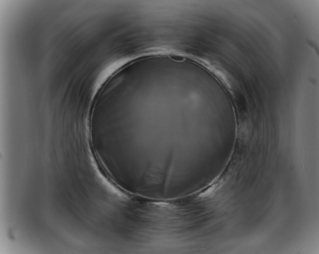 X0000096381239200801311252