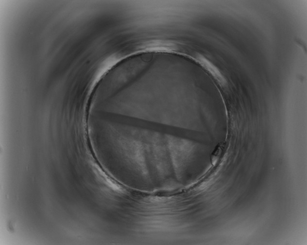 X0000096381240200801311252