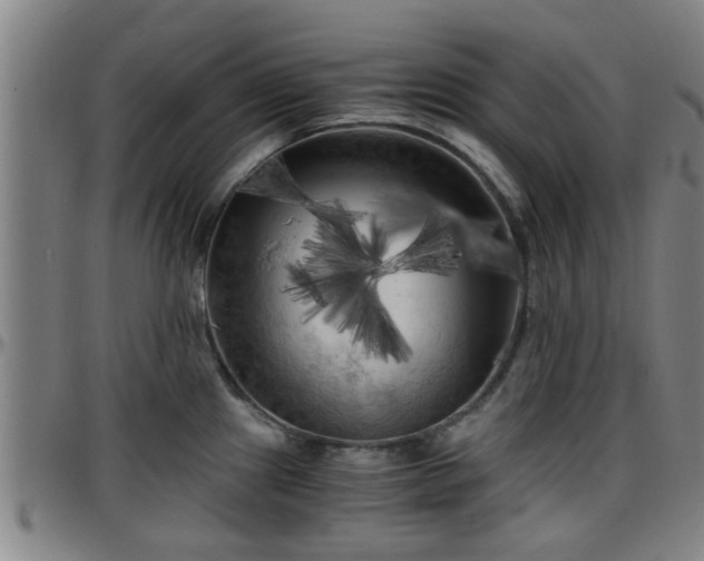 X0000096381241200801311252