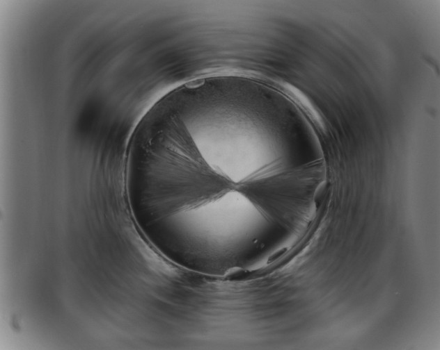 X0000096381244200801311252
