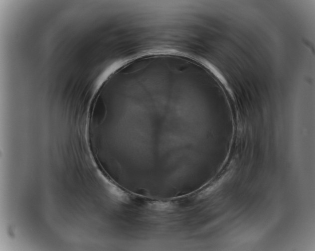 X0000096381245200801311252