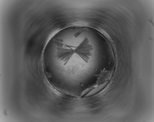 X0000096381248200801311252