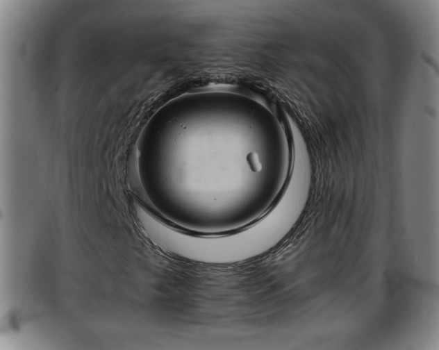 X0000096381249200801311252