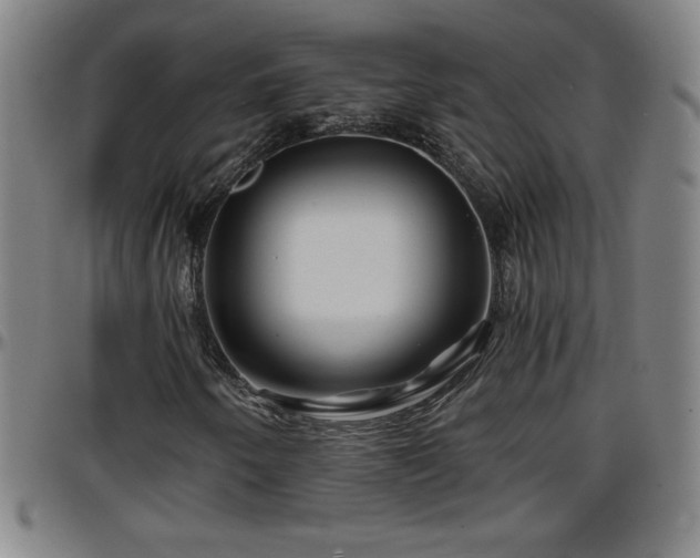X0000096381250200801311252