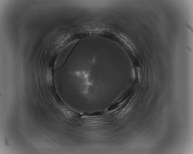 X0000096381252200801311252