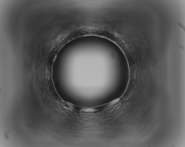 X0000096381253200801311251