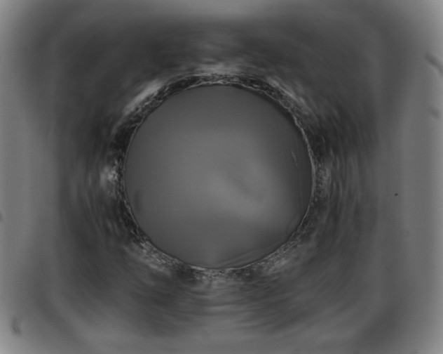 X0000096381254200801311251