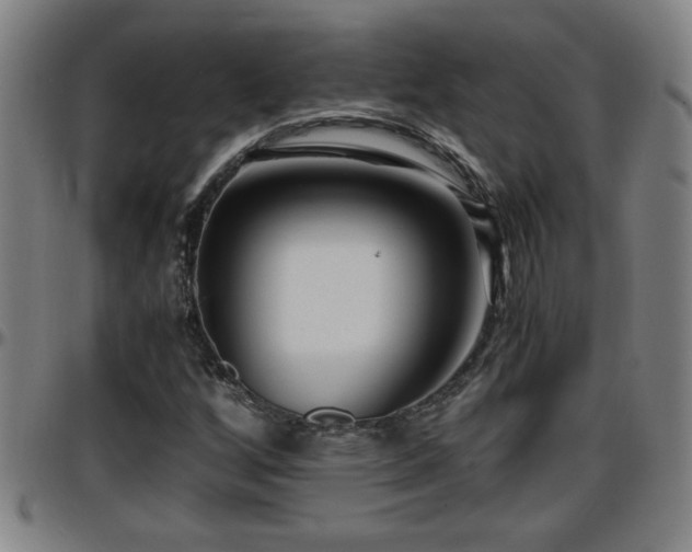 X0000096381256200801311251
