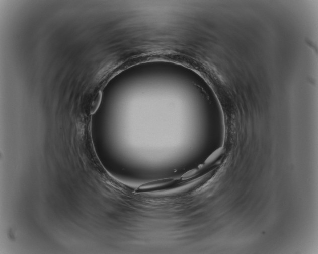 X0000096381257200801311251