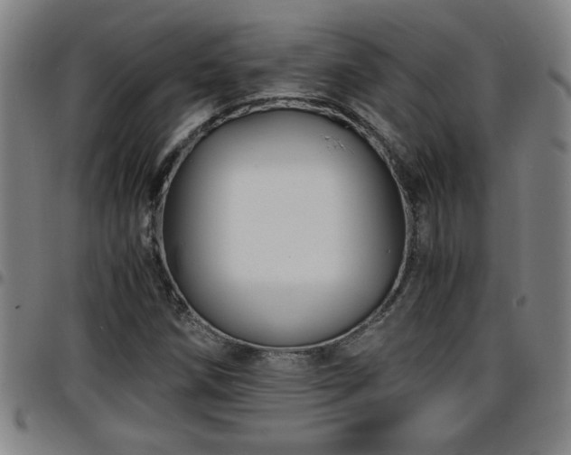 X0000096381258200801311251